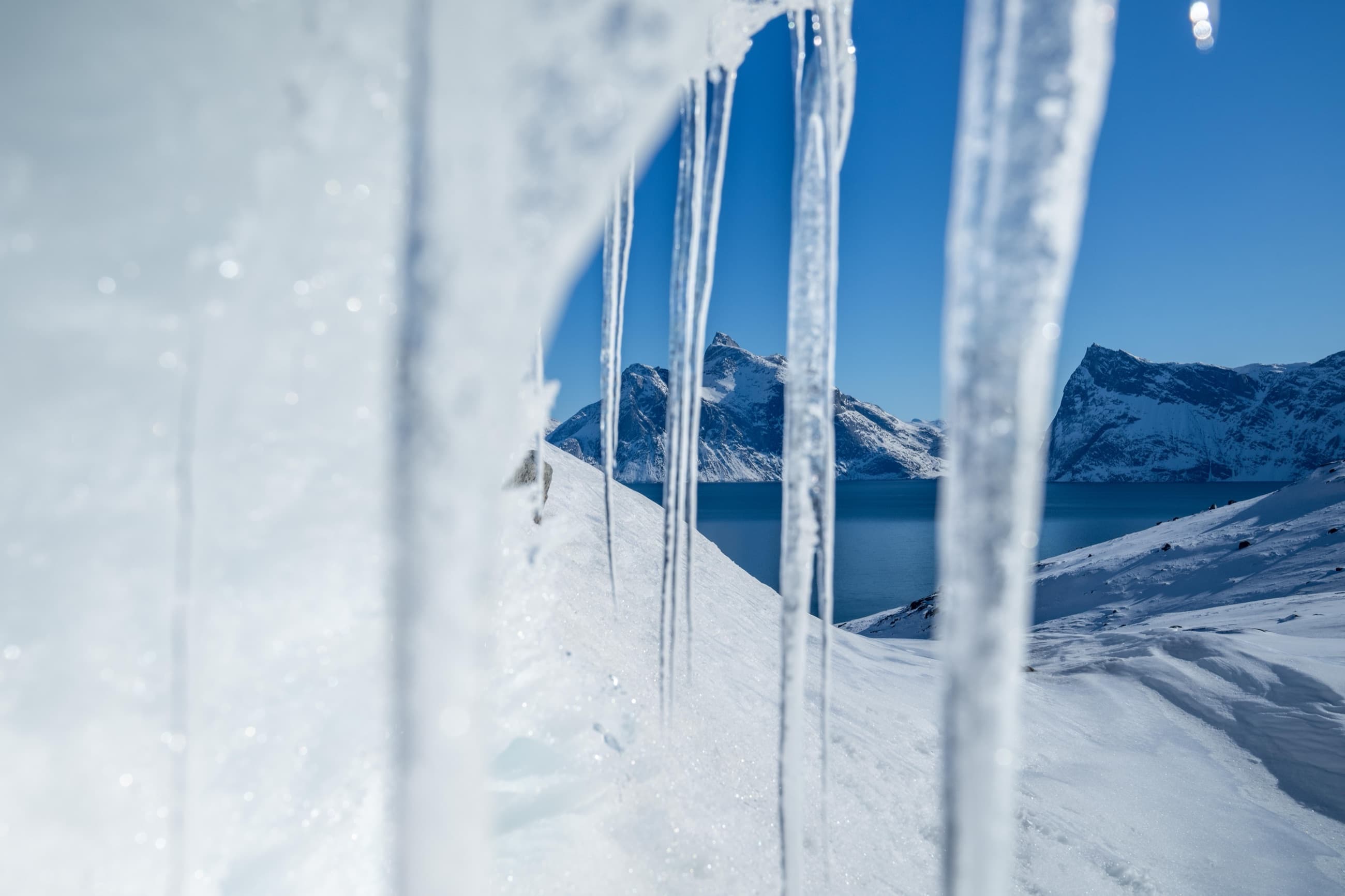 Ski touring party moving across a Greenland glacier above the anchored sailboat