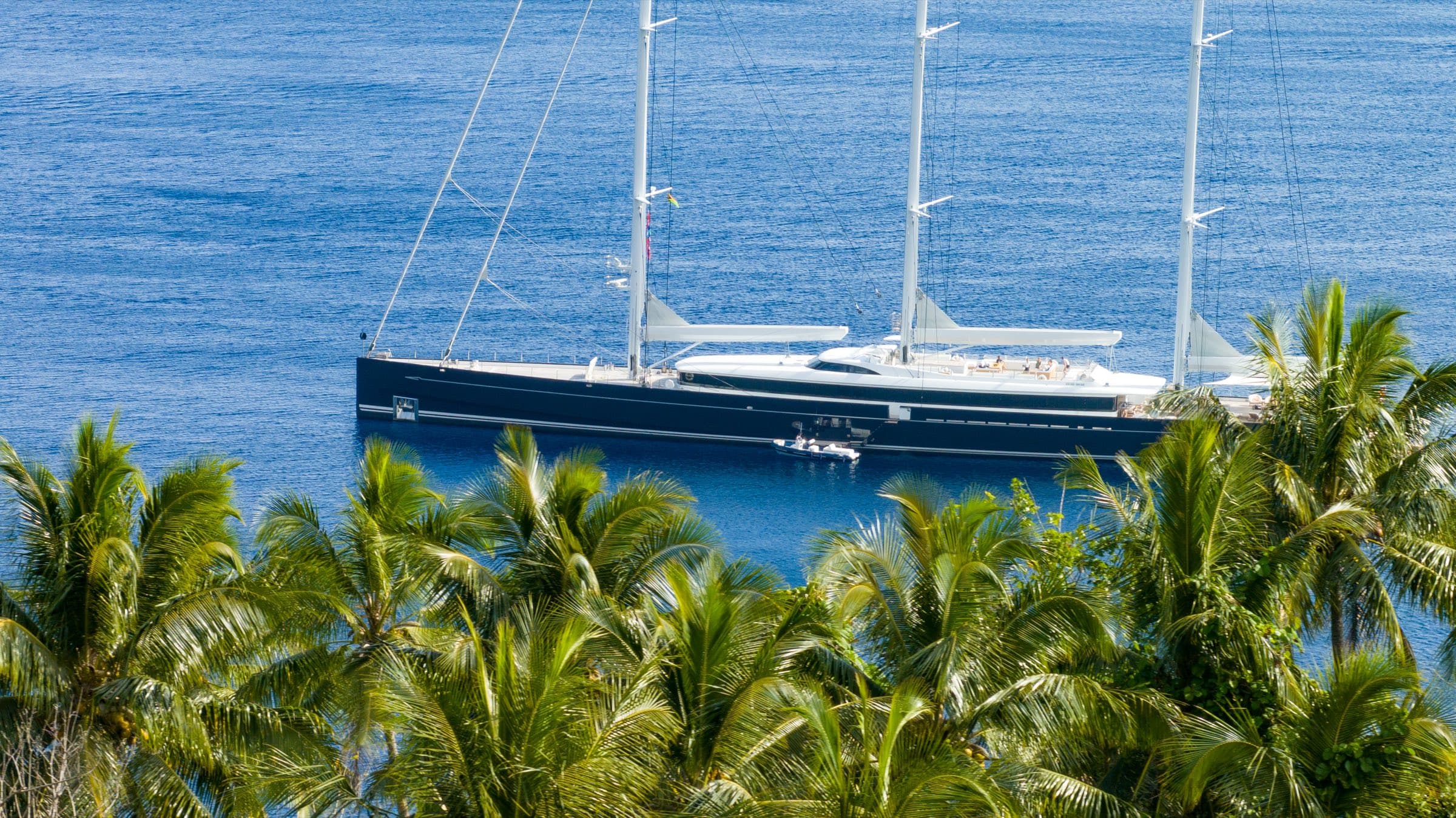Sea Eagle at anchor in Vanuatu, palms in the foreground, tender alongside